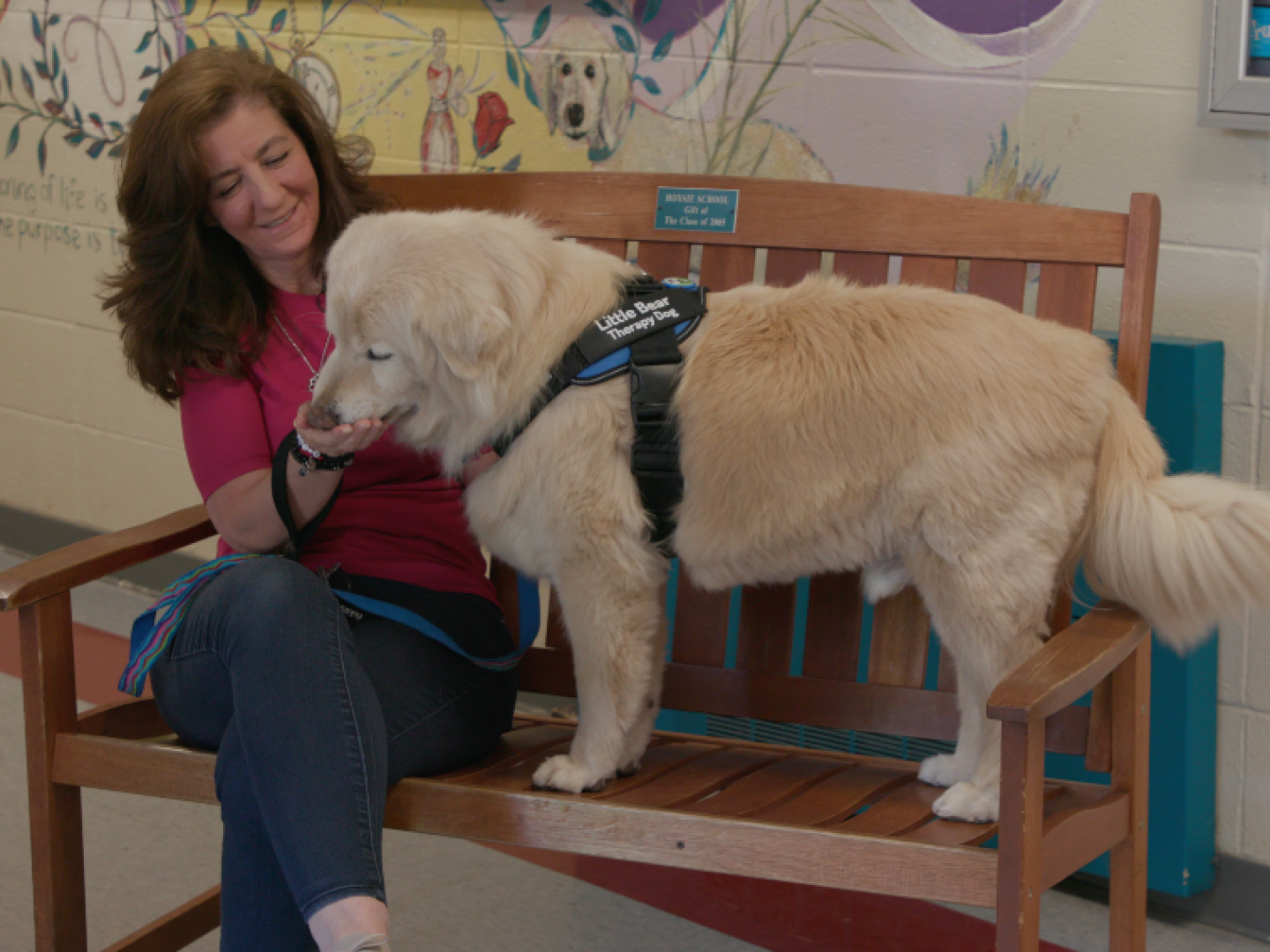 "Animal Talk" host Karen Kalunian follows the work of star therapy dog, Little Bear
